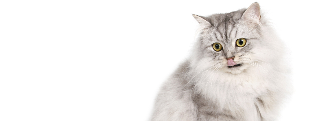 Hall of frame by BCT
