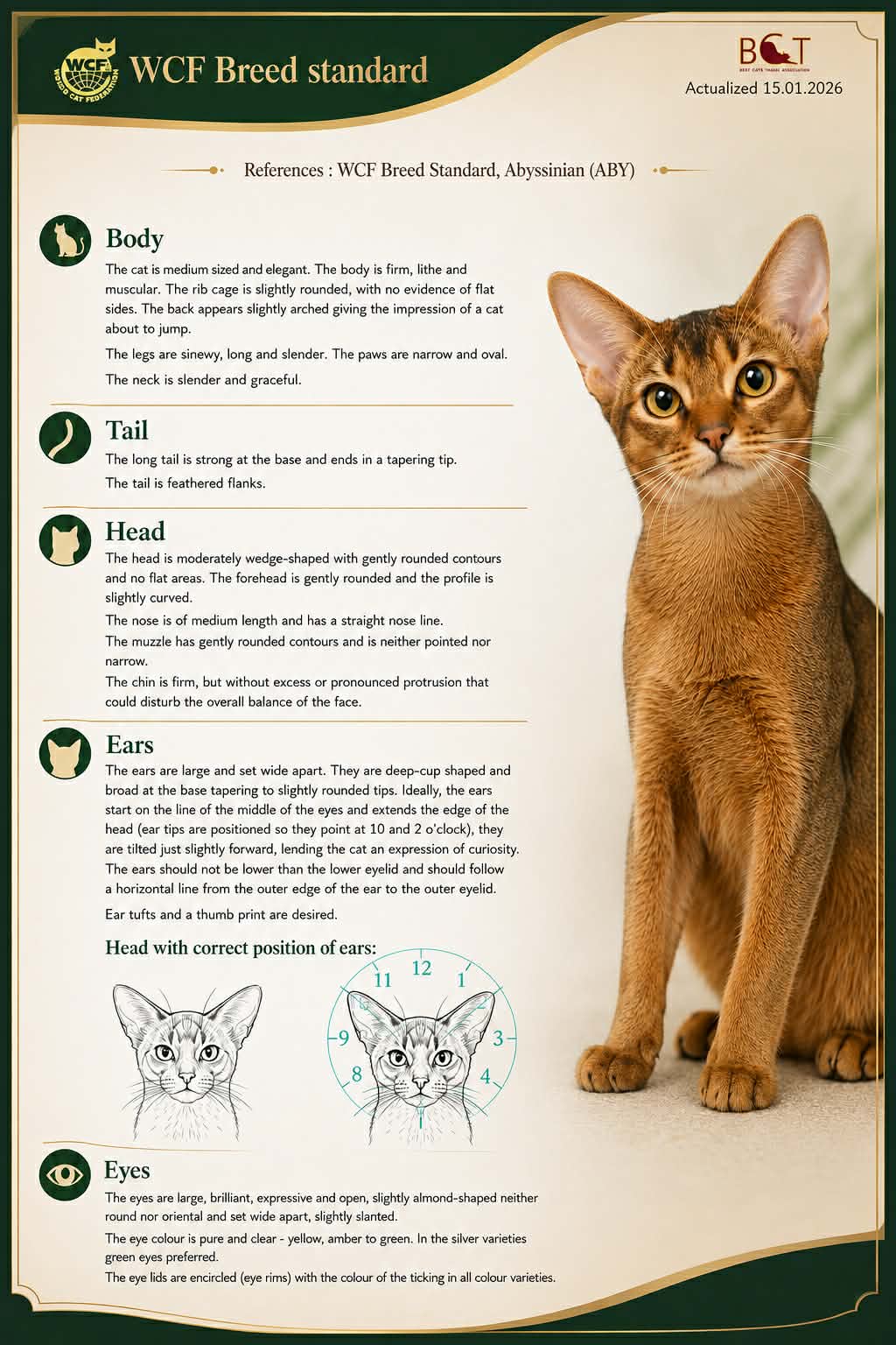 WCF Breed Standard