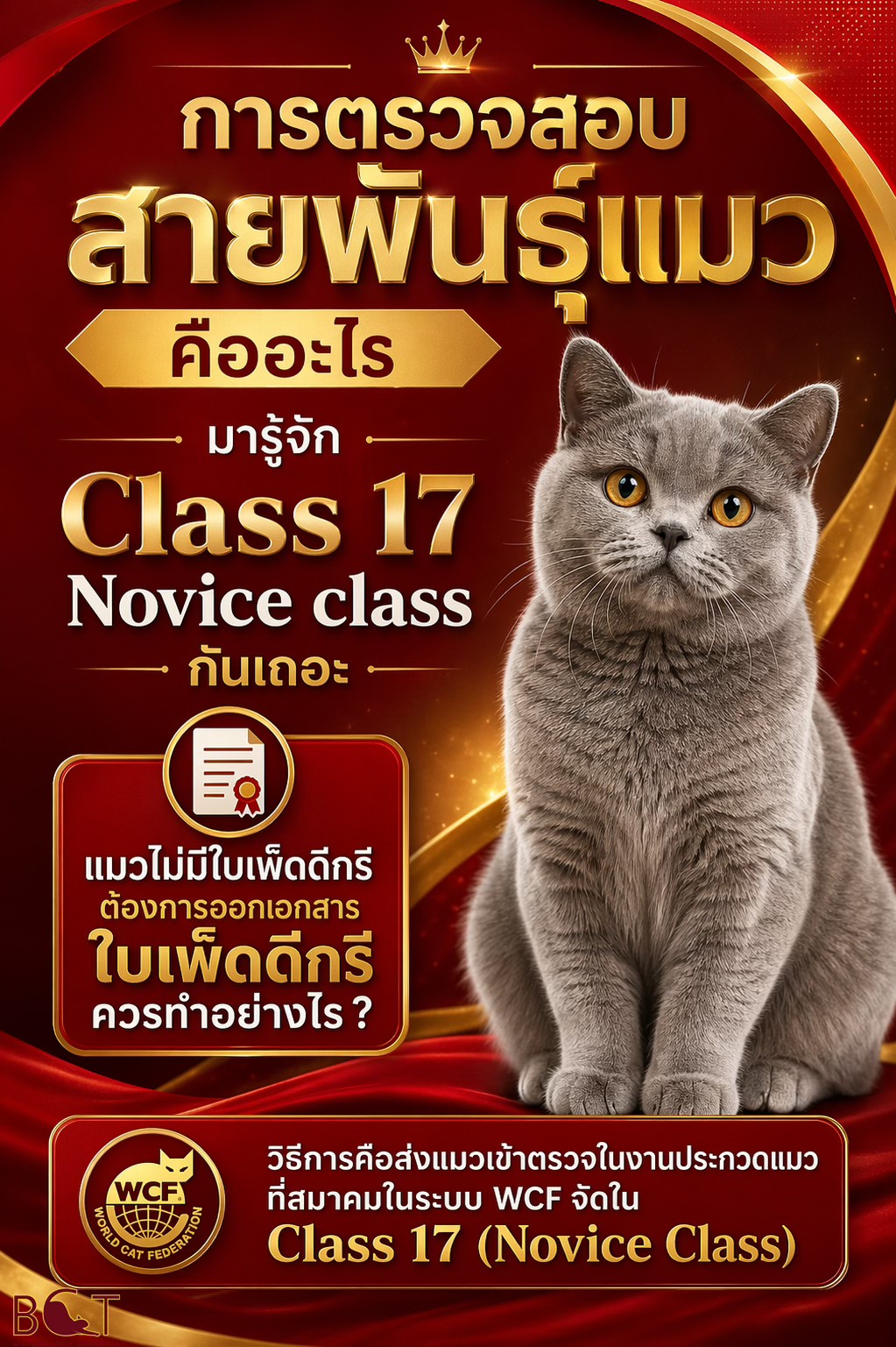 การตรวจสอบสายพันธ์ุแมวคืออะไร